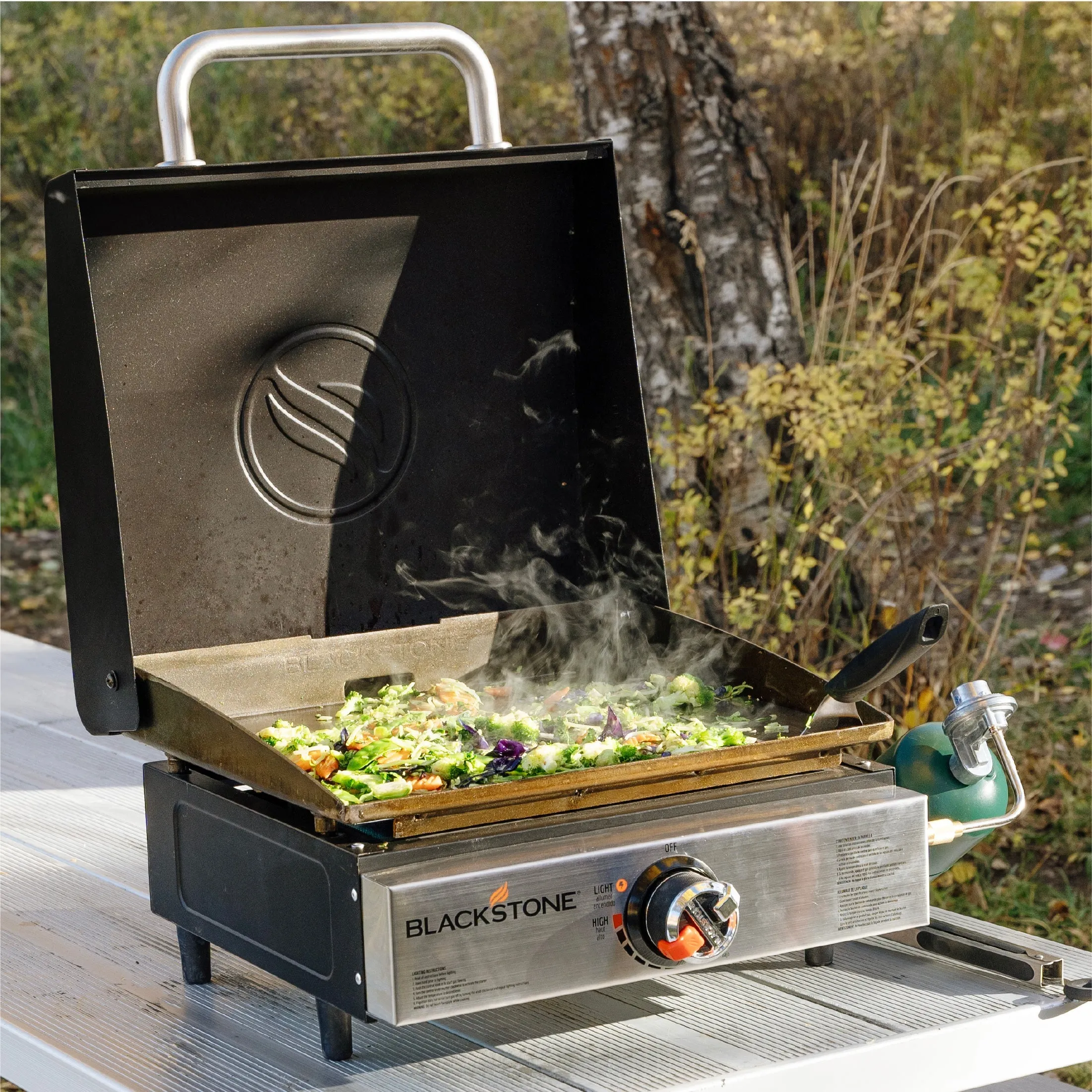 17 Inch Tabletop Griddle with Hood