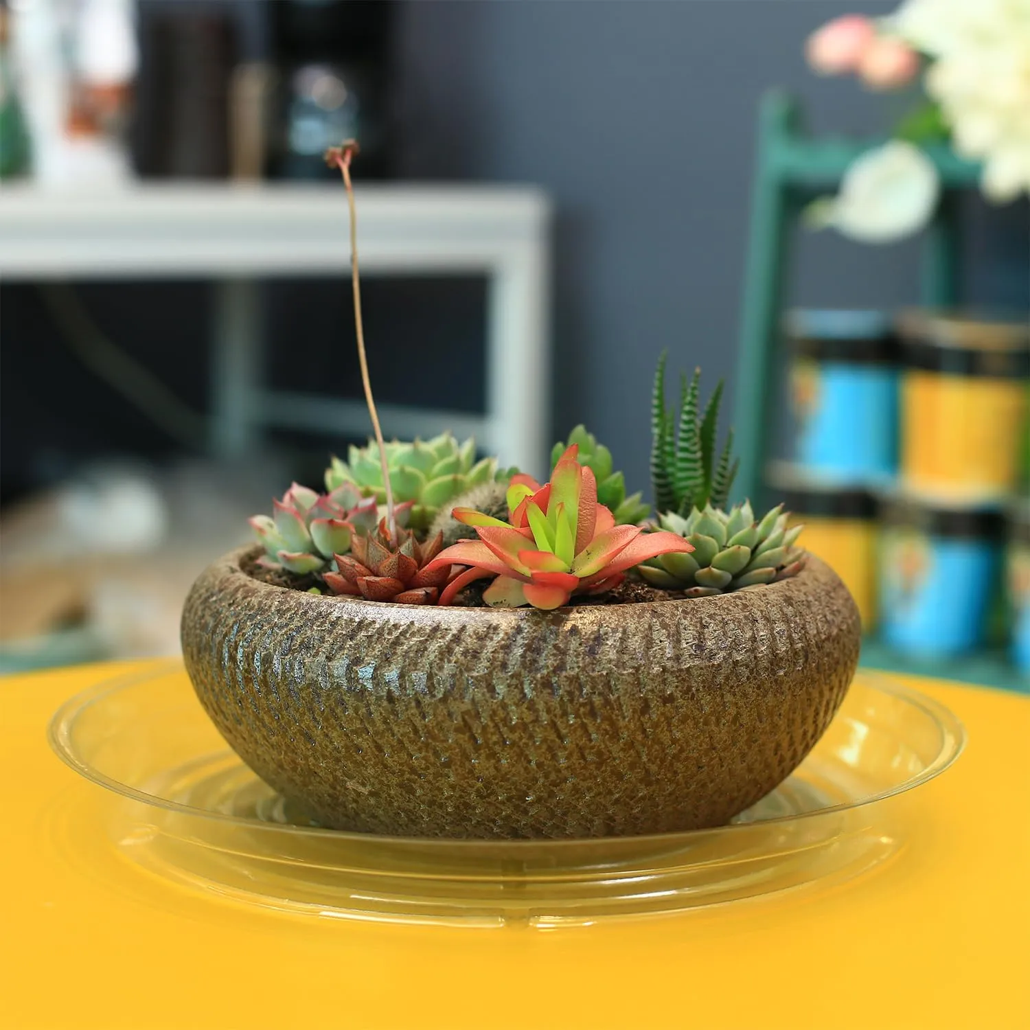 60 Pack 12 Inch Plant Saucer Clear Plant Saucers for Outdoors Plants Drip Trays Extra Large Pot Saucer No Holes Pot Saucers Planter Trays for Outdoor Plants Bulk Plastic Tray for Flower, Potted Tree