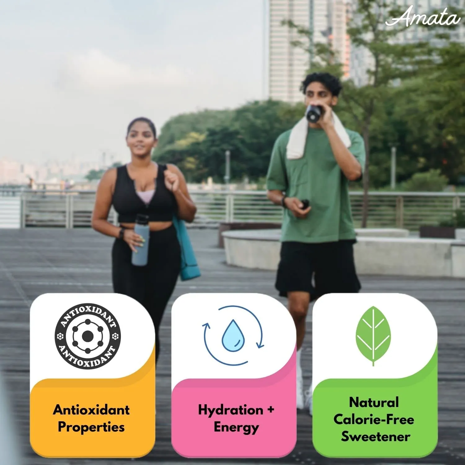 Amata Water Flavor Drops - Naturally Sweetened with Monk Fruit & Stevia - Water Enhancer Drink - Sugar Free Water Sweetener - Keto - Gluten Free - Vegan - Zero Calories (Pack of 4, Wildberry, Pineapple-Coconut, Sweet Tea, Grape)