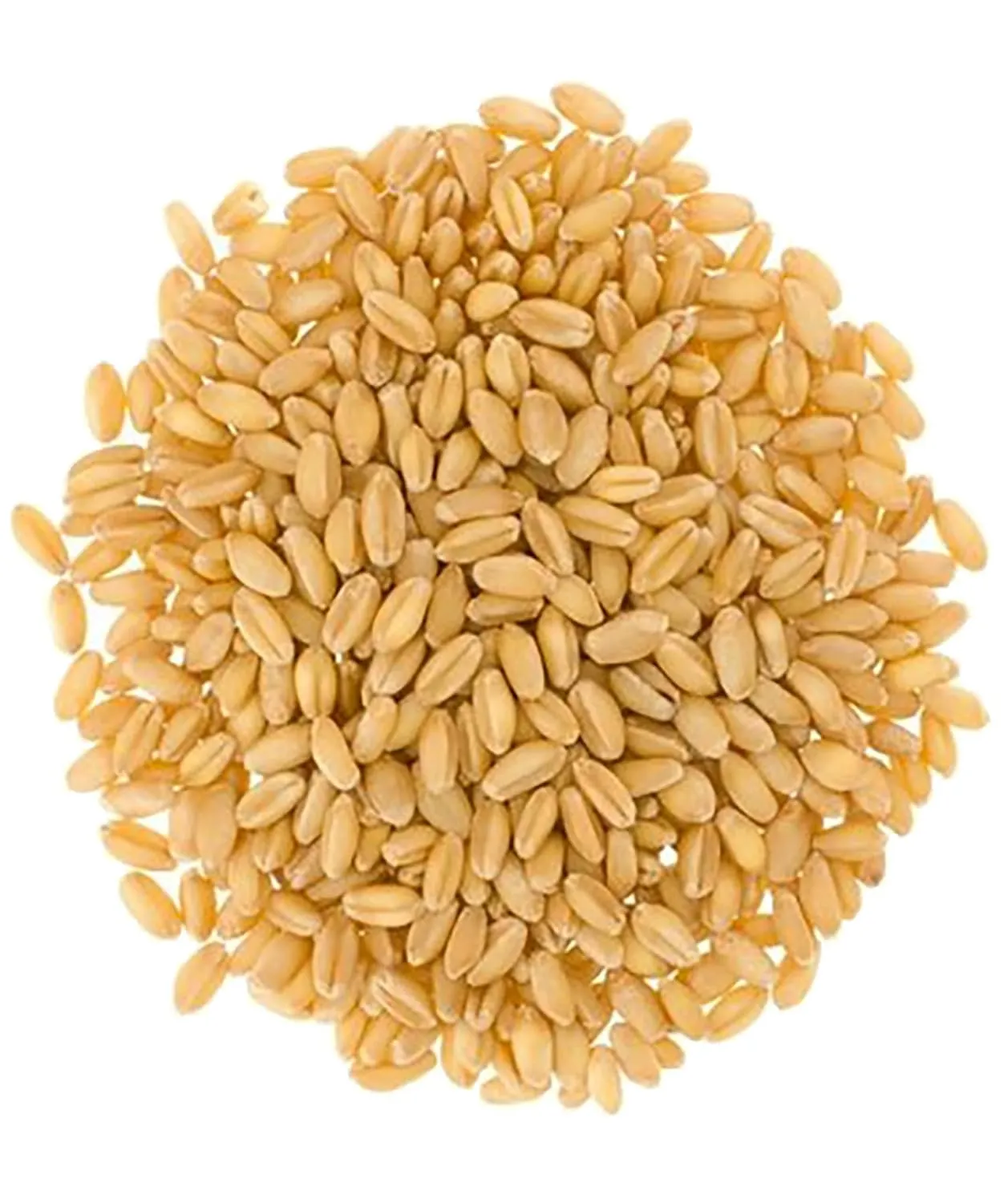 Certified Glyphosate Residue Free Soft White Wheat Berries | 15 LBS | Family Farmed in Washington State | 100% Desiccant Free | Non-GMO Project Verified | 100% Non-Irradiated | Kosher | Field Traced | Burlap Bag | (5 Pound, Pack of 3)