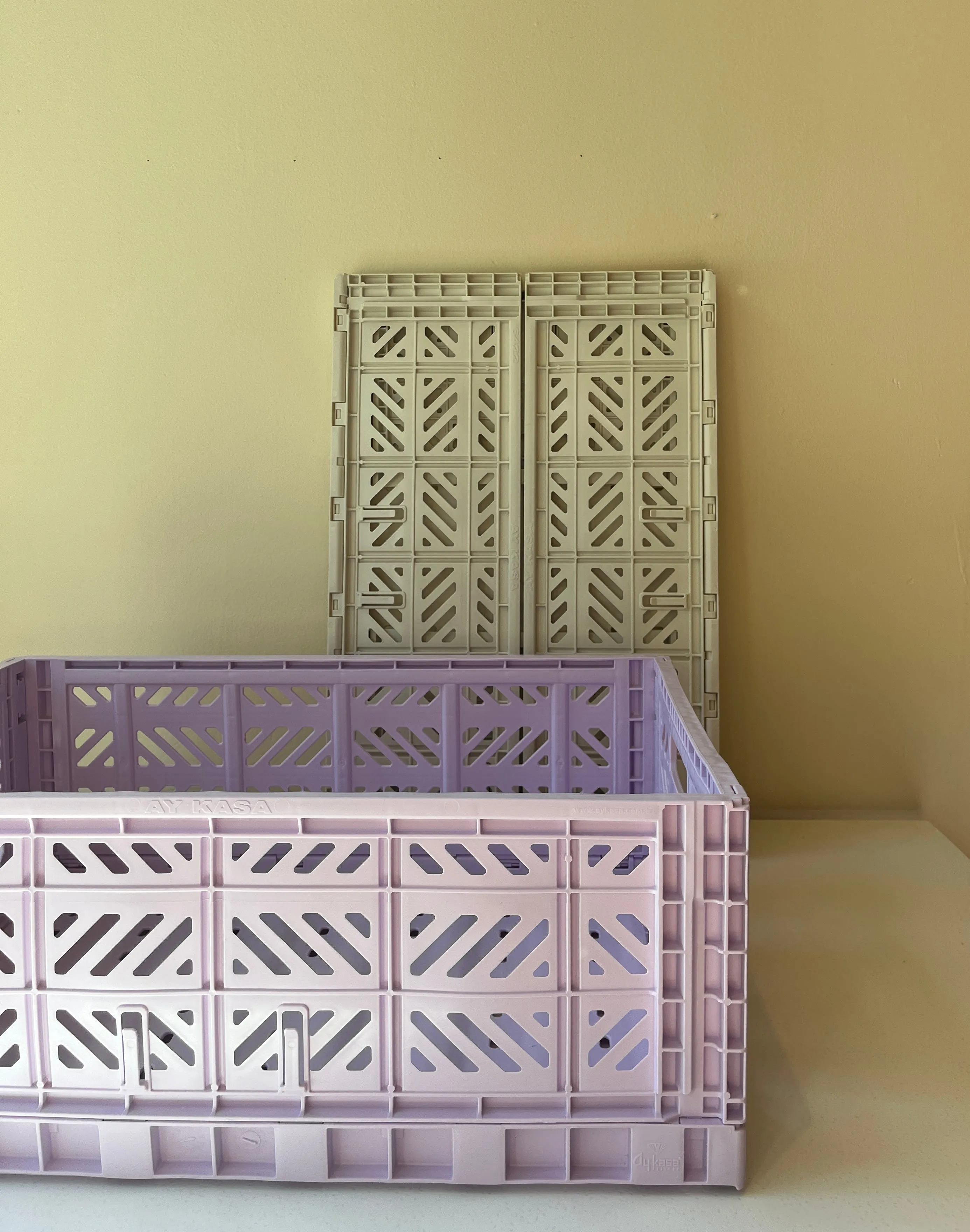 Collapsible Crate - Maxi