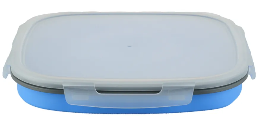 COLLAPSIBLE SILICONE CAKE STORAGE CONTAINER