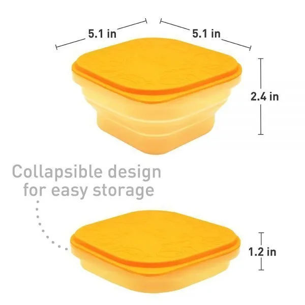 Collapsible Snack Container
