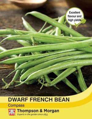 Dwarf French Bean Compass (Green)
