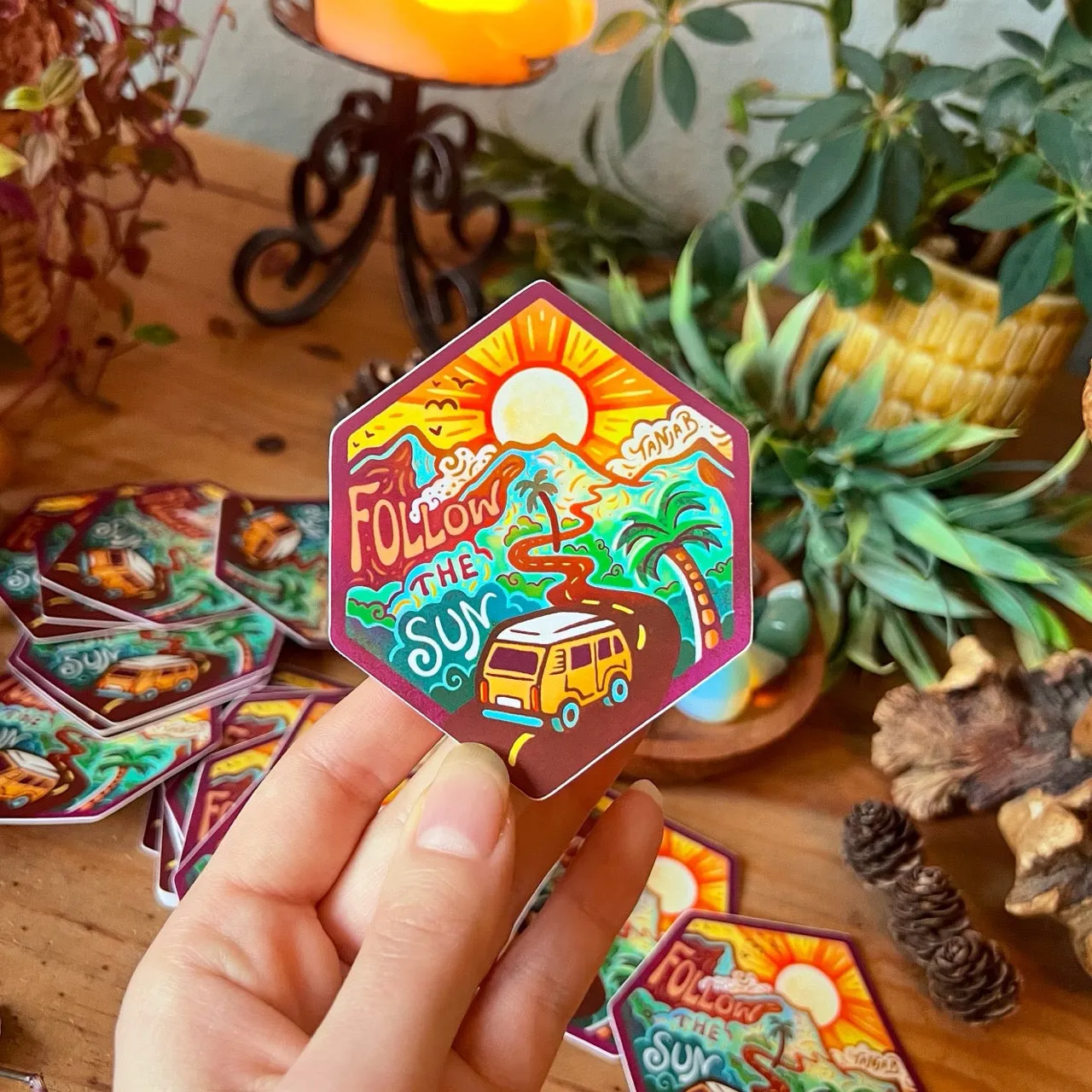Follow the Sun