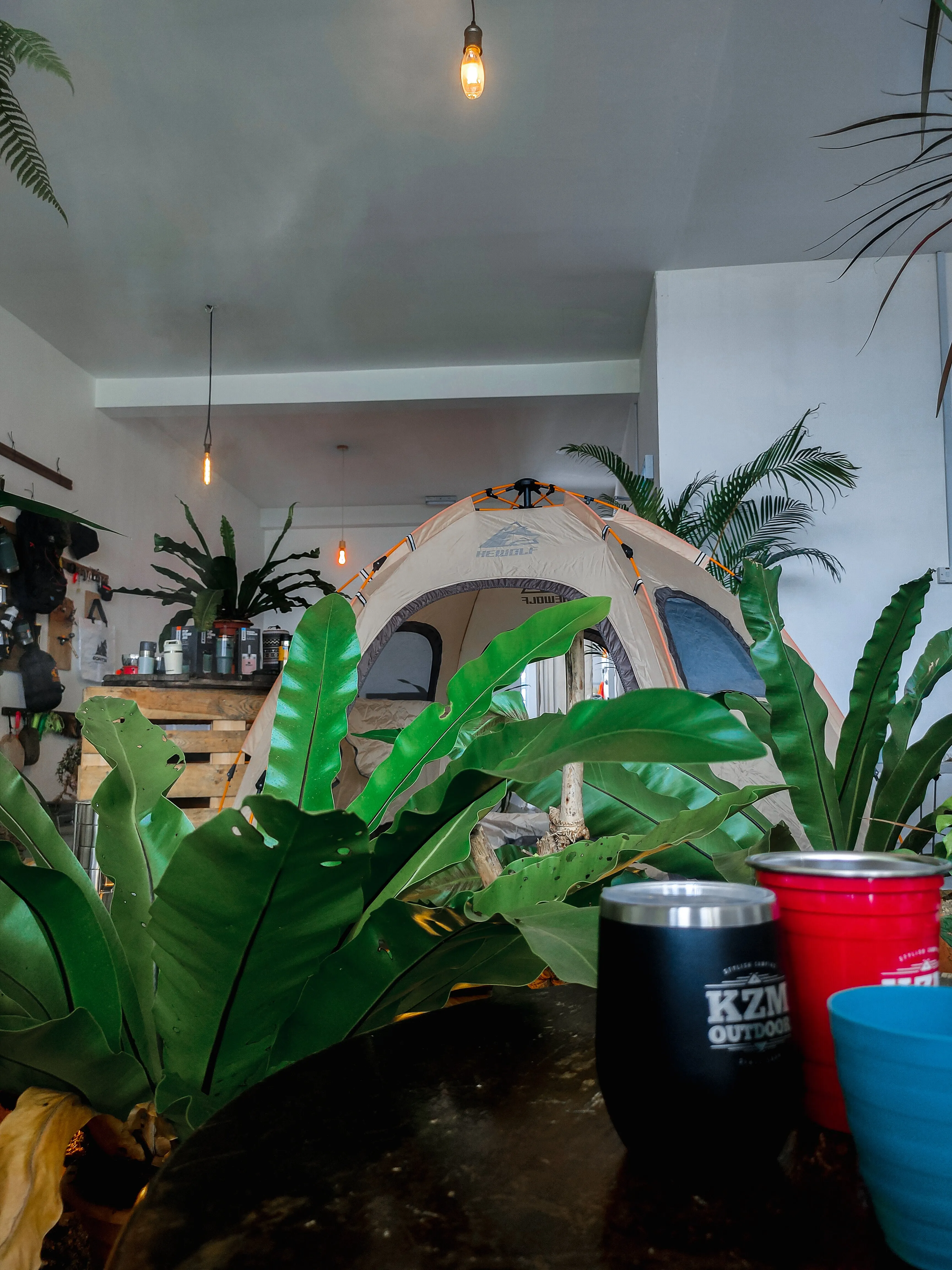 Hewolf Automatic 4 person Hexa Tent - Tan