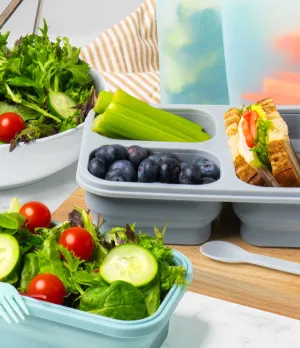 Krumbs Kitchen Collapsible Silicone Meal Prep Container