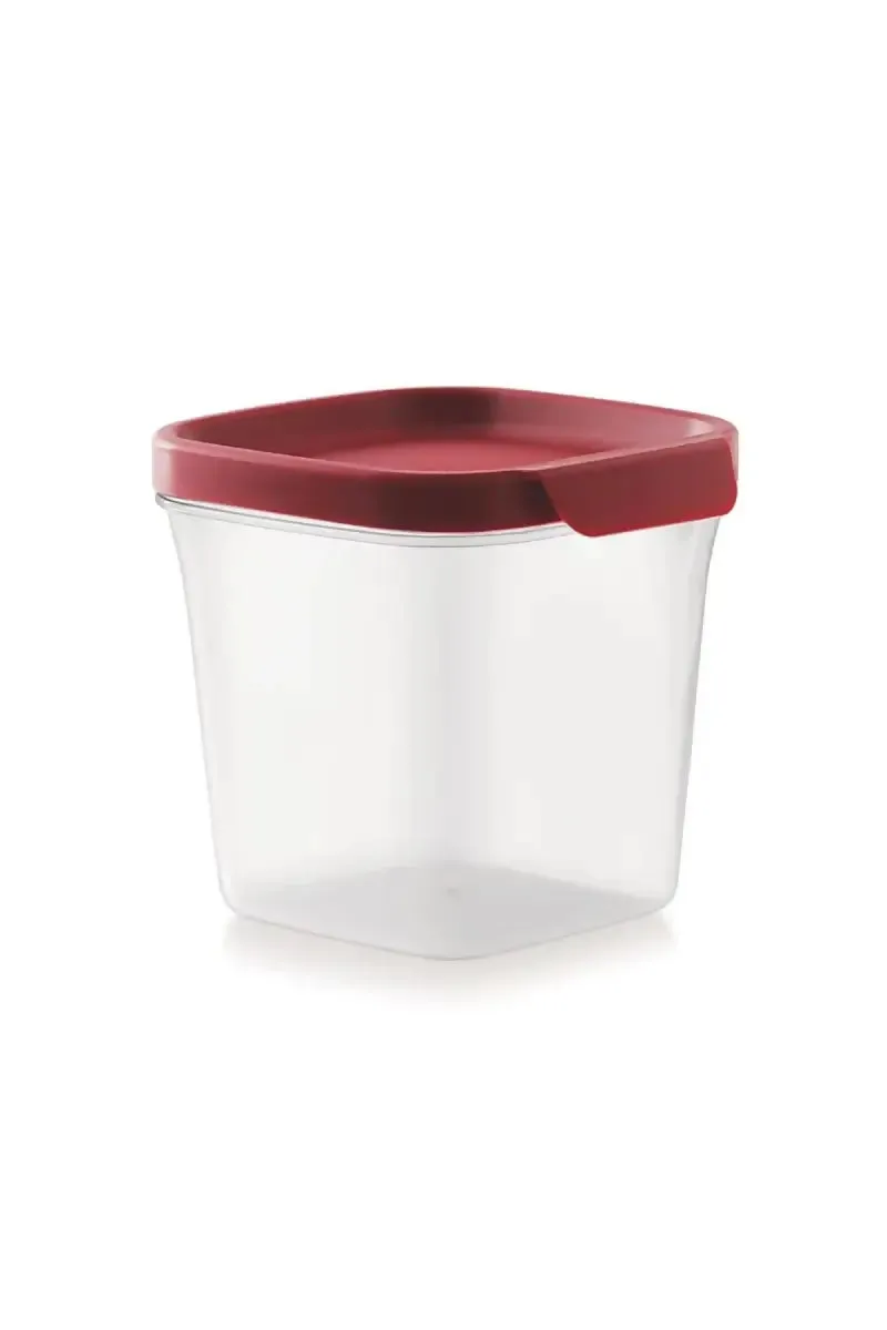 Mastercook Plastic Container - 800 ml