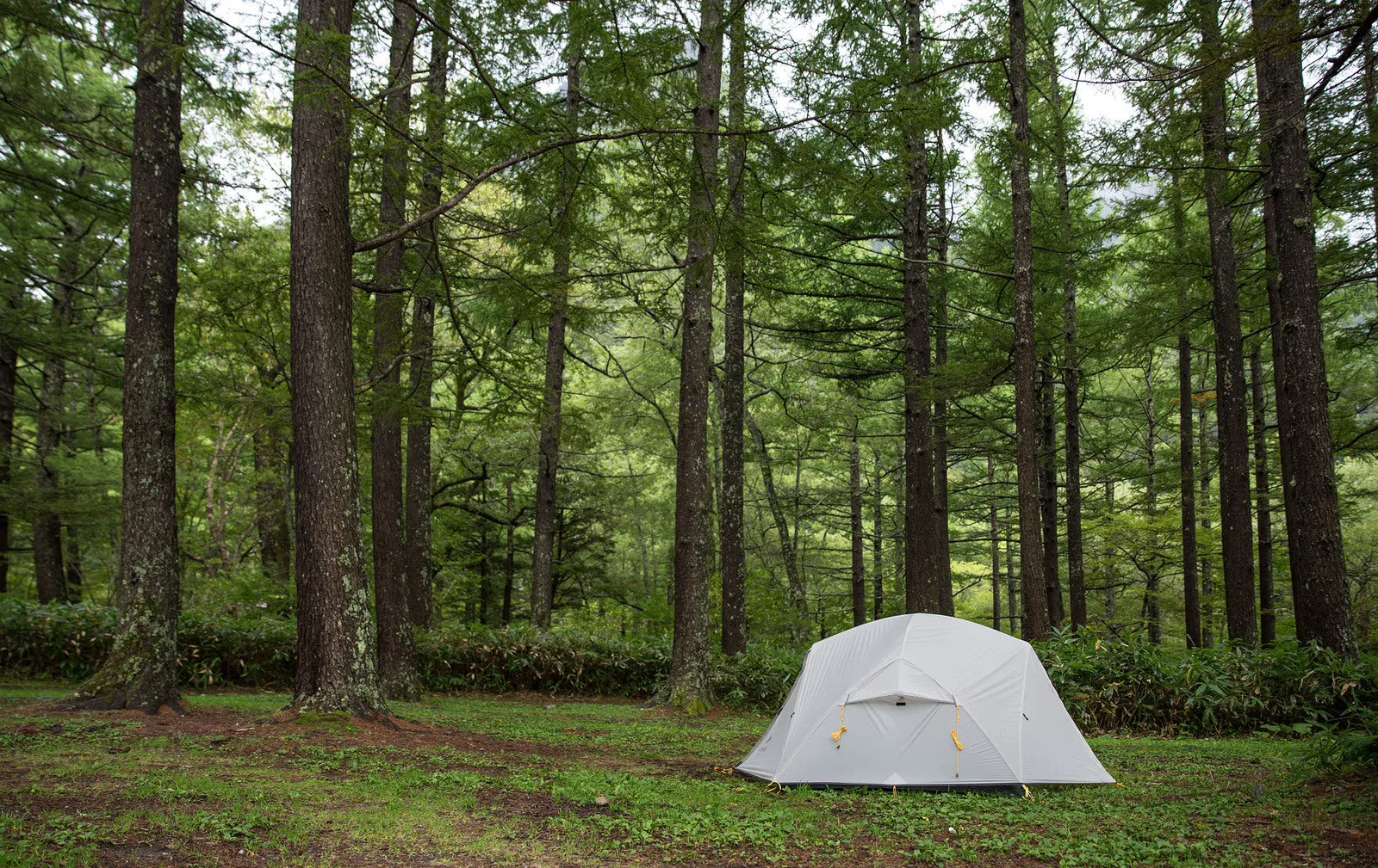 Naturehike 3 Season Mongar Camping Hiking 2 Person Dome Ultralight Backpacking Tent