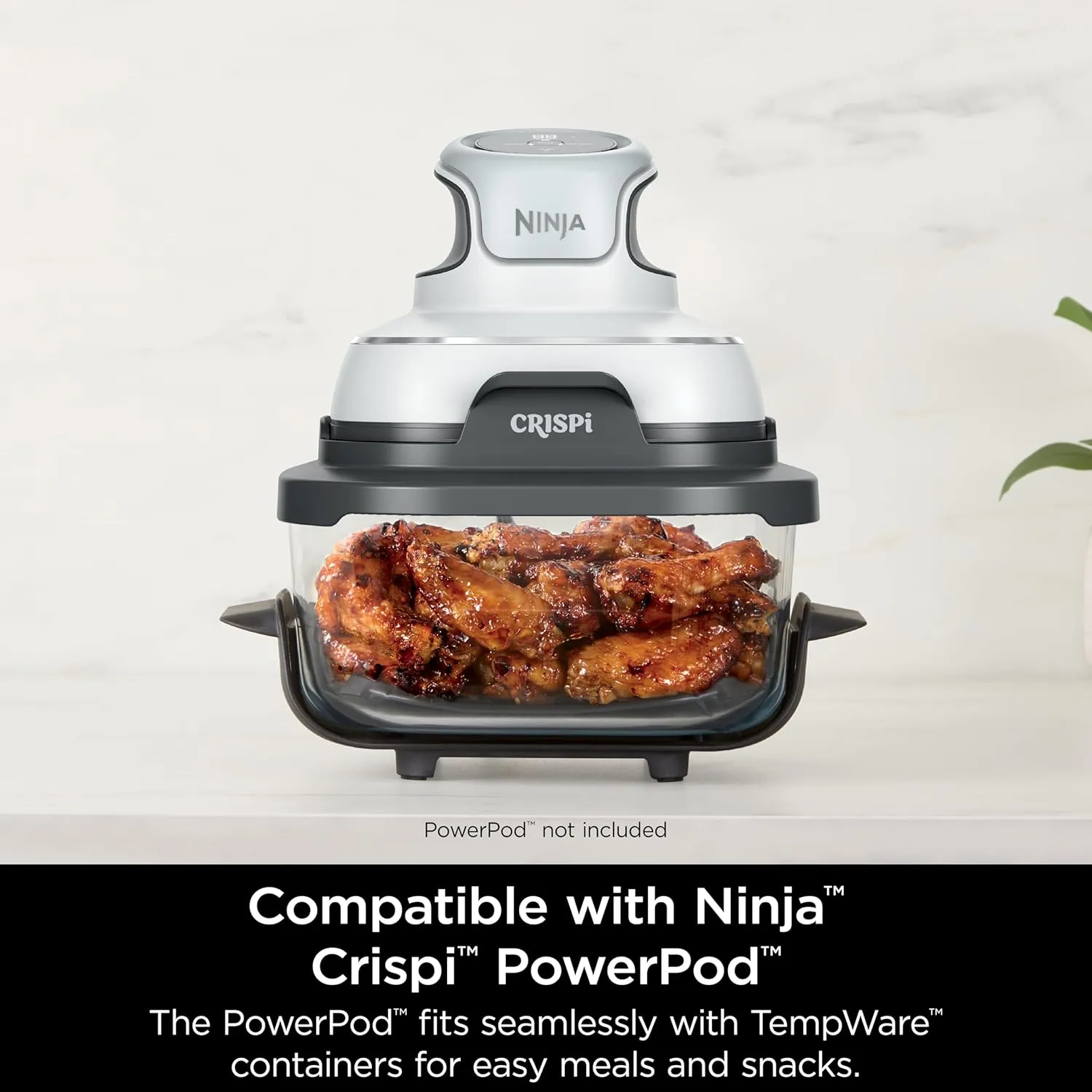 Ninja 4 QT TempWare Glassware Container with Storage lid, Compatible Crispi Portable Cooking System, Microwave, Freezer and Dishwasher Safe, PFAS Free Glass Cooking Surface