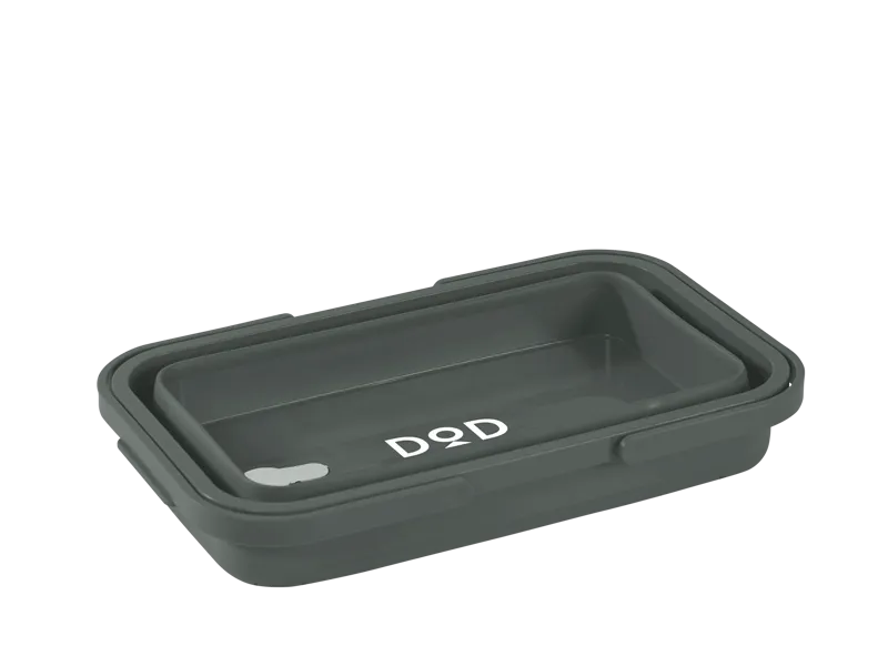 Pesha Collapsible Container