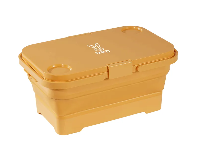 Pesha Collapsible Container
