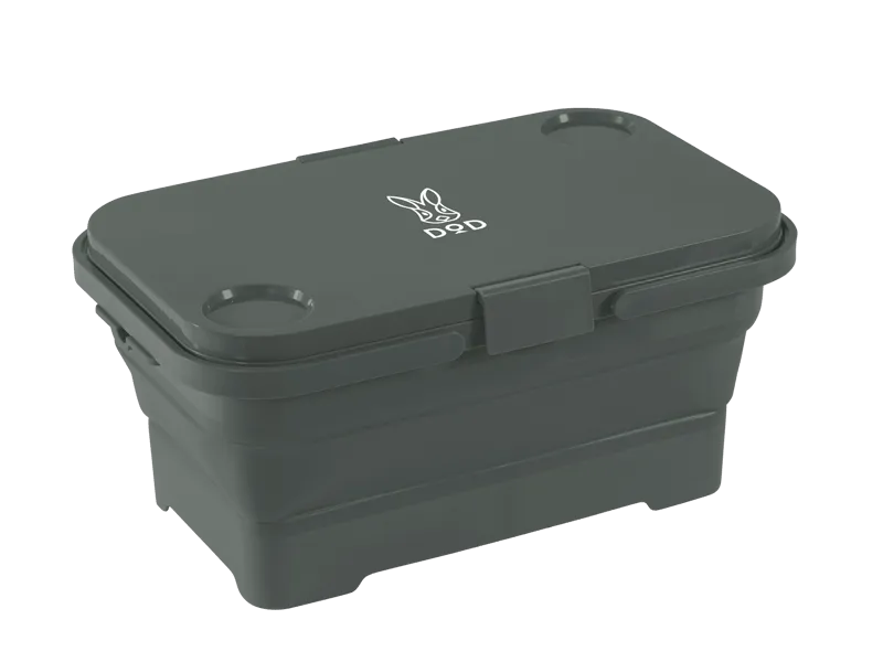 Pesha Collapsible Container