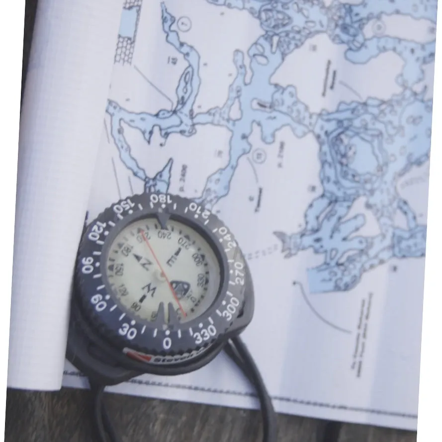 Pilot2 compass