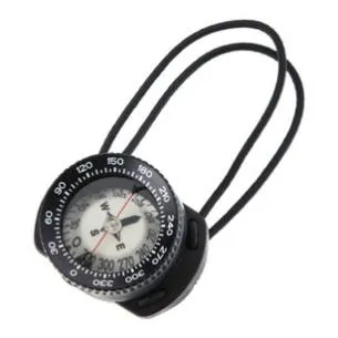 Pilot2 compass