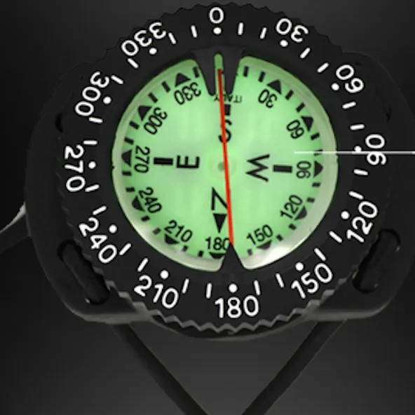 Pilot2 compass