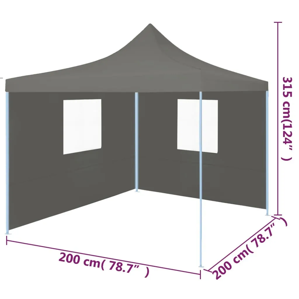 Professional Folding Party Tent with 2 Sidewalls 2x2 m Steel Anthracite