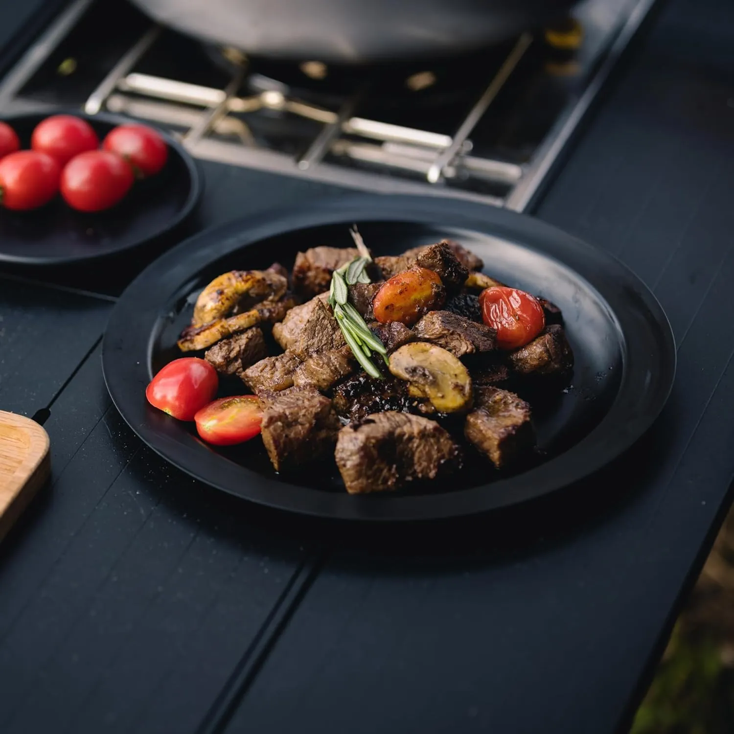 Stainless Steel Camping Plates 2pcs Set, Insulated Dinnerware Portable Cookware, for Outdoor Camping Hiking BBQ Picnic Home, Black