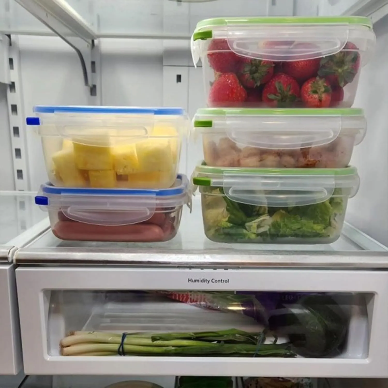 STERILITE 0311 Ultra Seal 3.1 Cup Rectangle Food Storage Container, Clear Green, See Through Lid & Base With New Leaf Accents