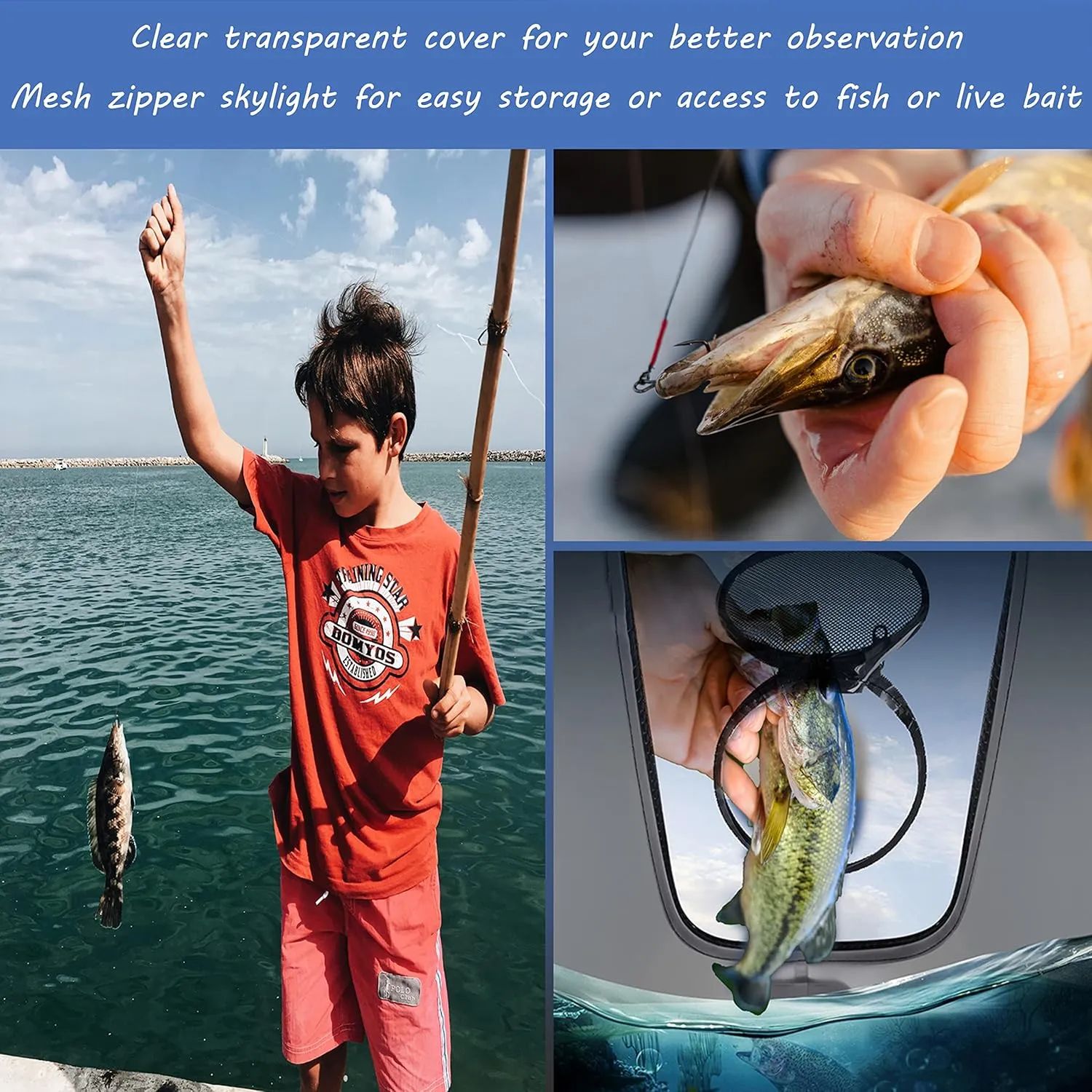 Transparent Top Cover Fishing Bucket, Foldable Fish Bait Bucket, Multifunctional Minnow Bucket, Live Fish Container, Fish Protection Bucket, Outdoor Camping Fishing Bag.