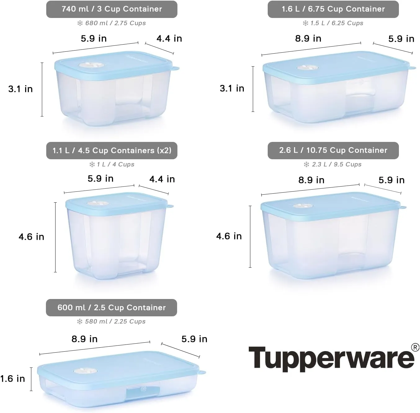 Tupperware Date, Store & Freeze Collection 6 Piece Food Storage Container Set, Dishwasher Safe and BPA Free (6 Containers, 6 Lids)