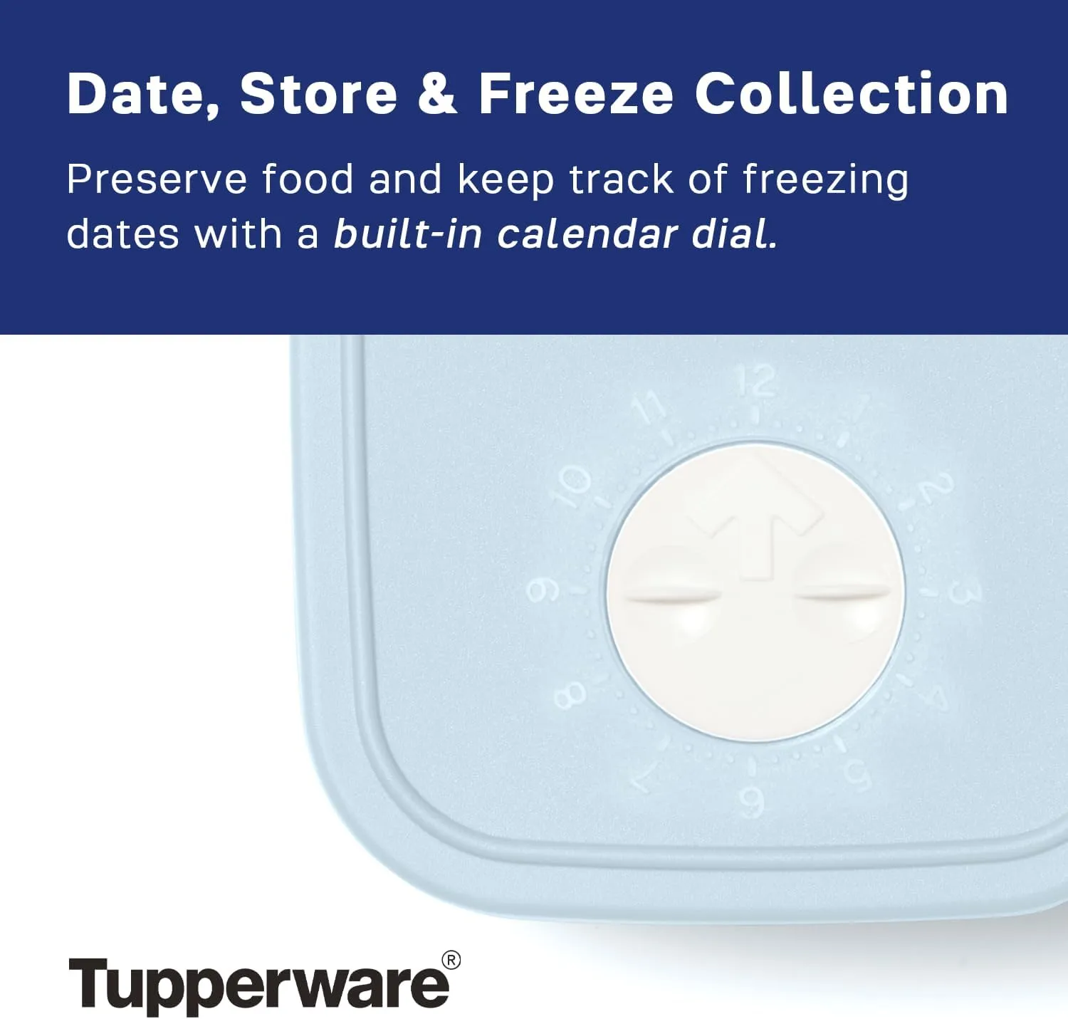 Tupperware Date, Store & Freeze Collection 6 Piece Food Storage Container Set, Dishwasher Safe and BPA Free (6 Containers, 6 Lids)
