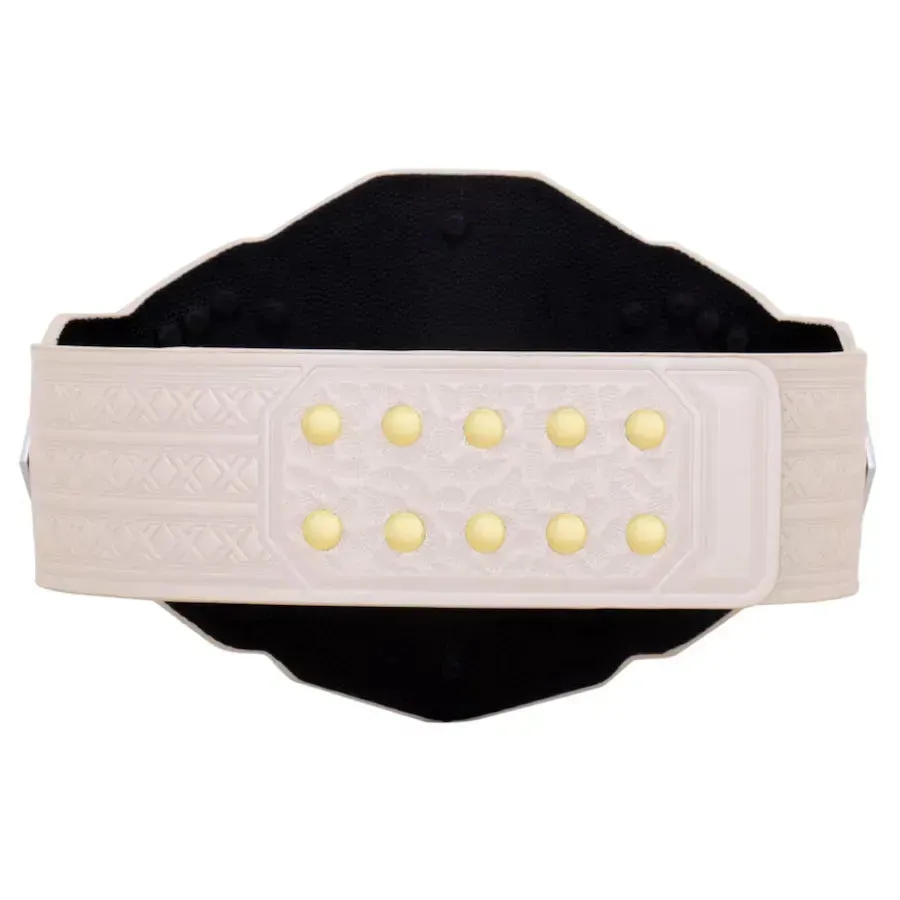 WWE NXT 2024 Women's Championship Replica Title Belt